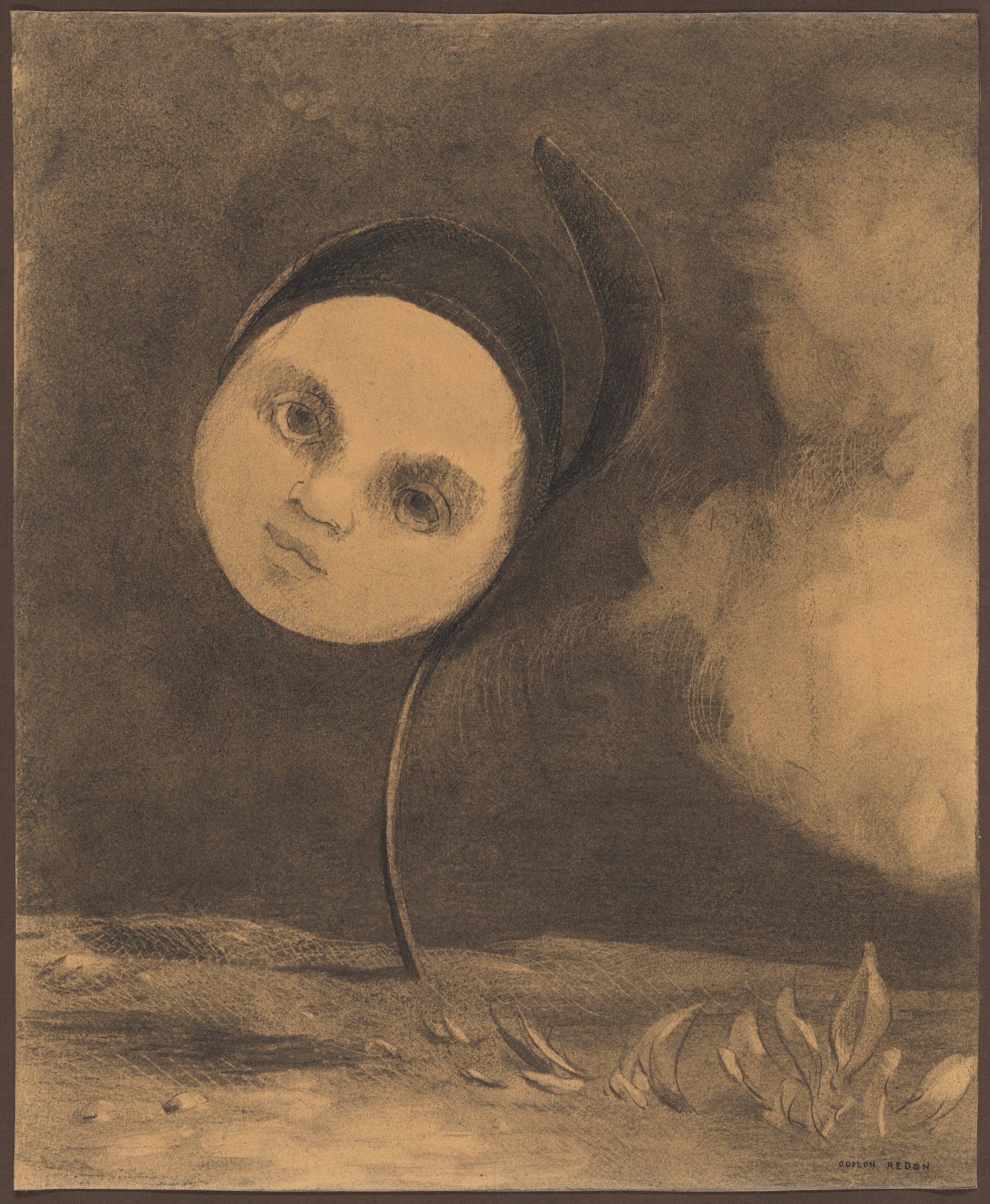 Strange Flower (Little Sister of the Poor) by Odilon Redon, 1880 — fine art print