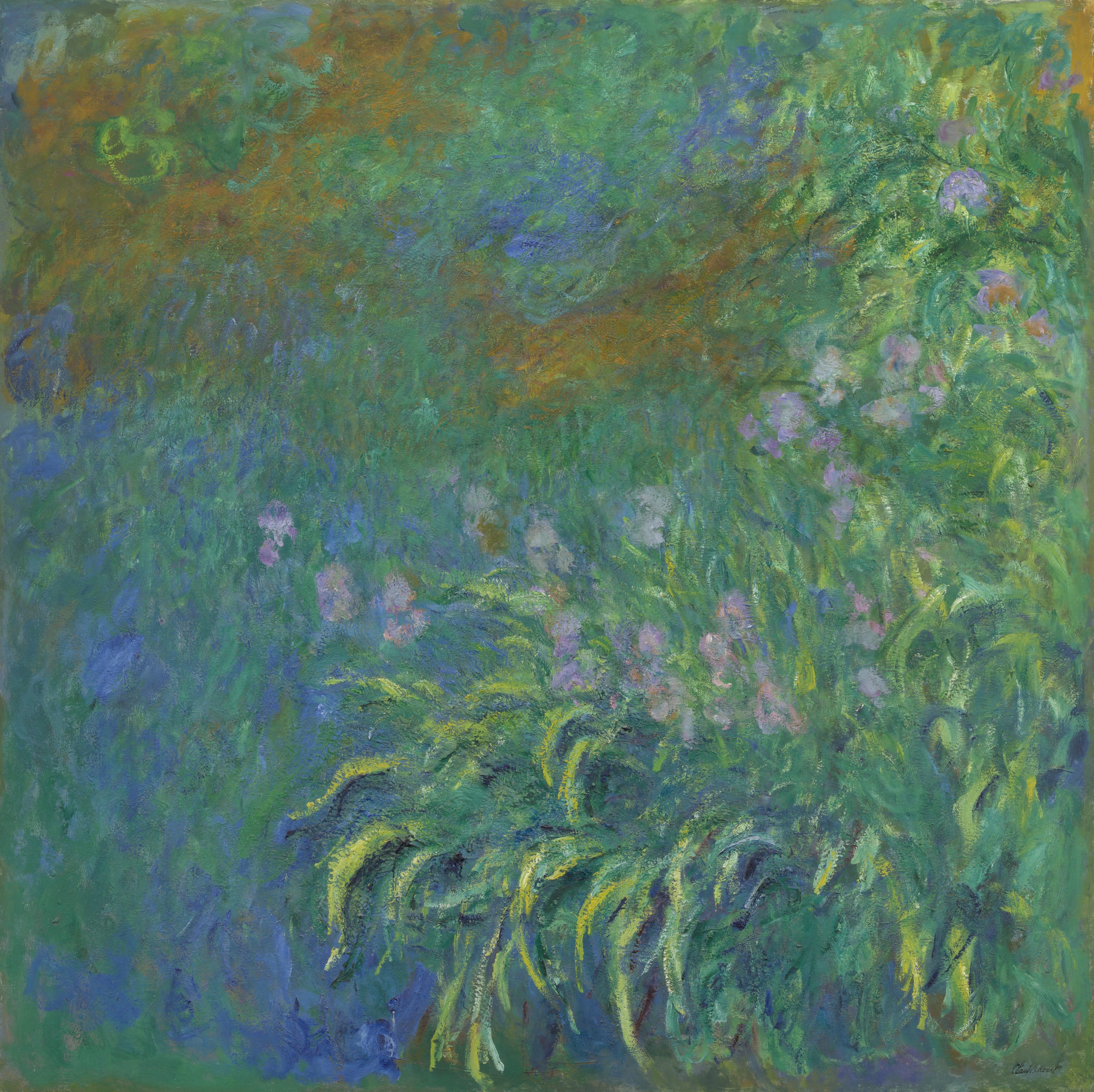Irises by Claude Monet, 1914–17 — fine art print