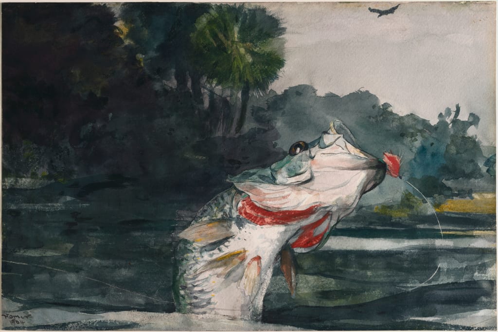 Life-Size Black Bass by Winslow Homer, 1904 — fine art print