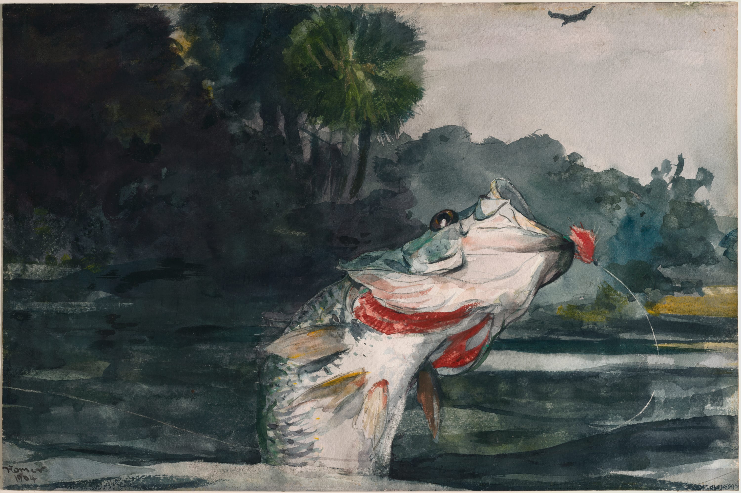 Life-Size Black Bass by Winslow Homer, 1904 — fine art print