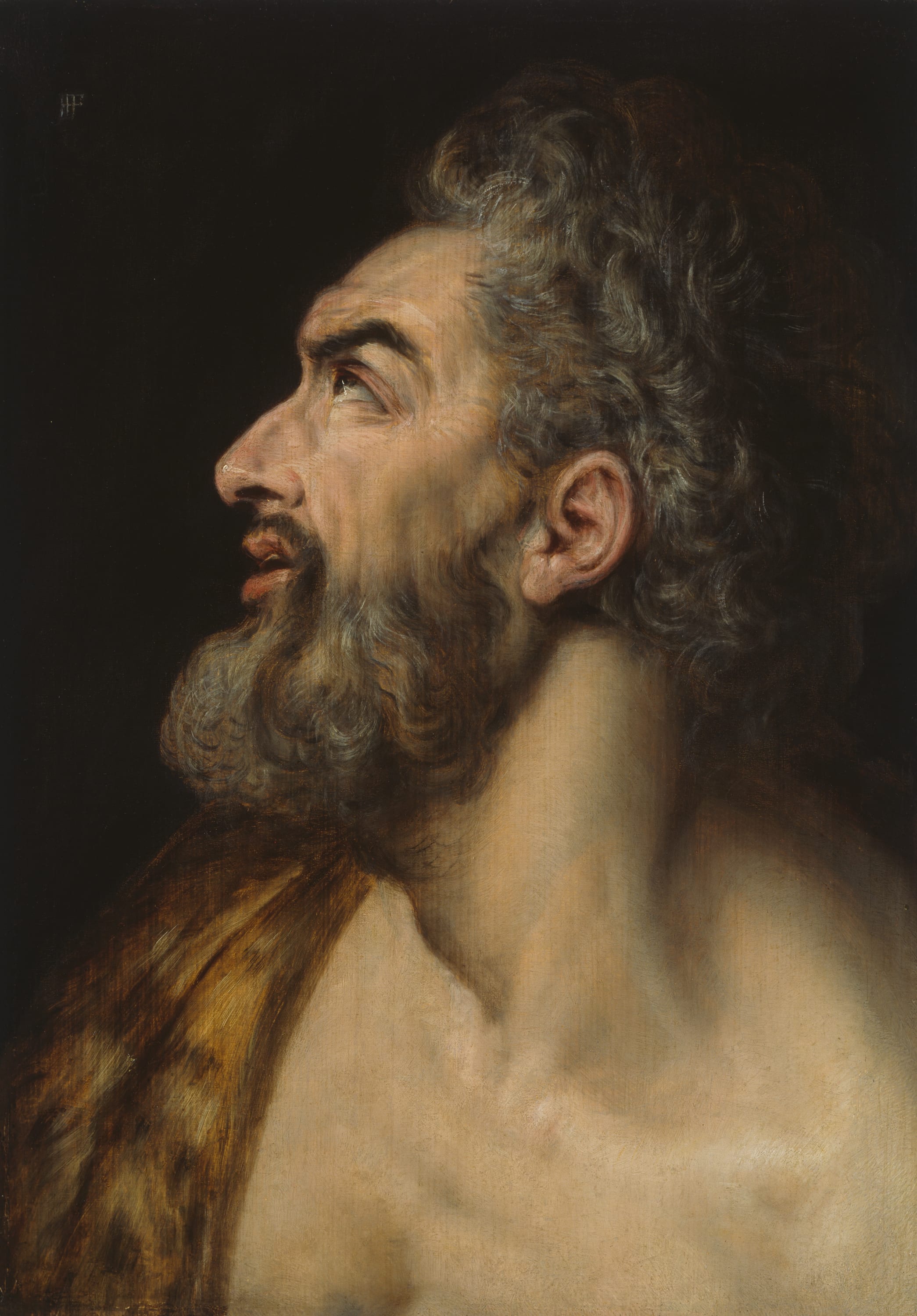 Study Head of a Bearded Man by Frans Floris, I, c. 1565 — fine art print