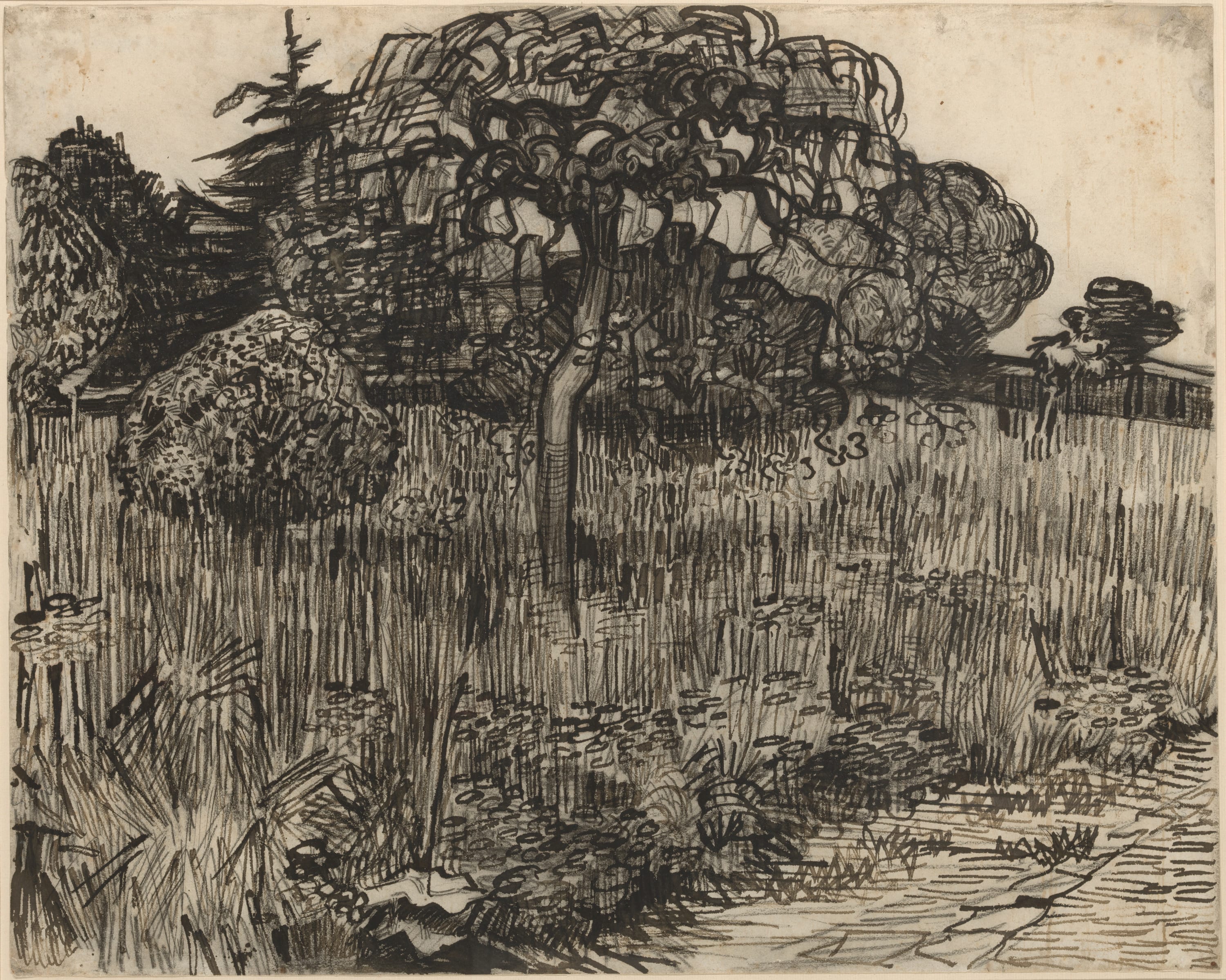 Weeping Tree by Vincent van Gogh, 1889 — fine art print