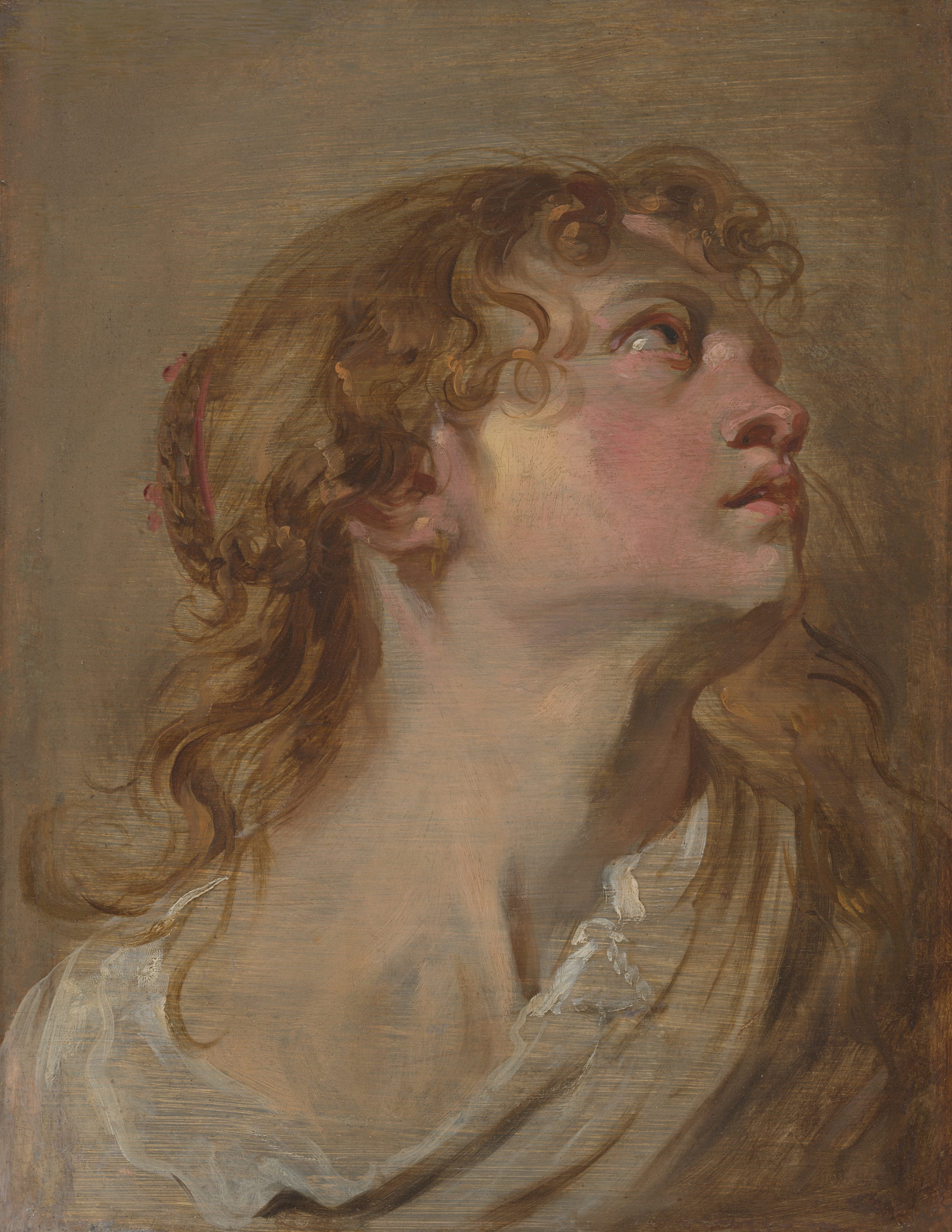 Head of a Girl by Anthony van Dyck, c. 1618–c. 1620 — fine art print