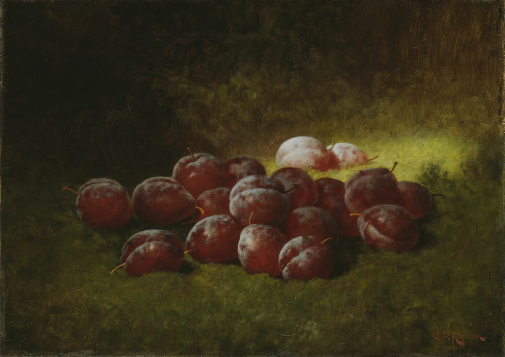 Purple Plums by Carducius Plantagenet Ream, 1895 — fine art print