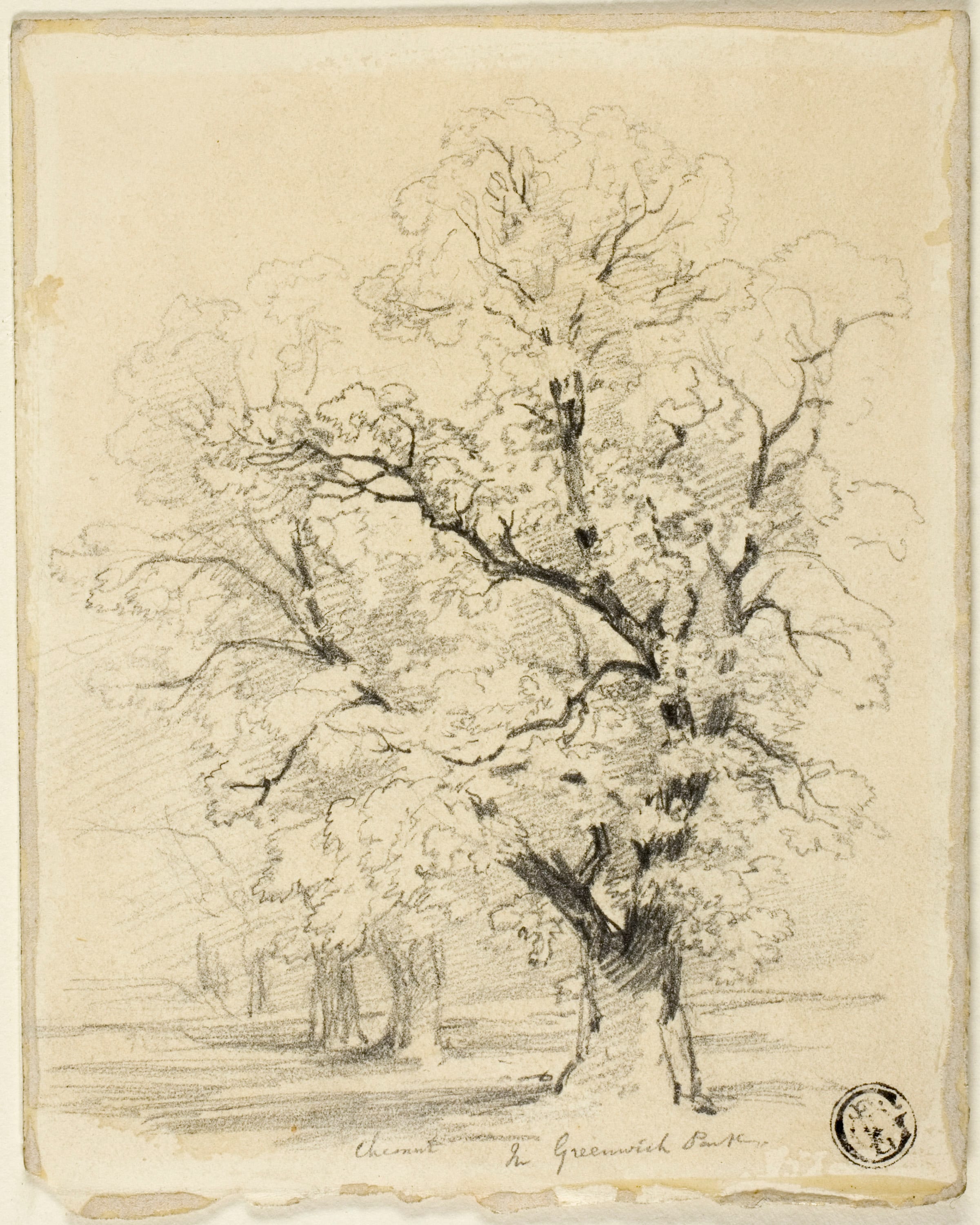 Ches[t]nut in Greenwich Park by Thomas Creswick, n.d. — fine art print