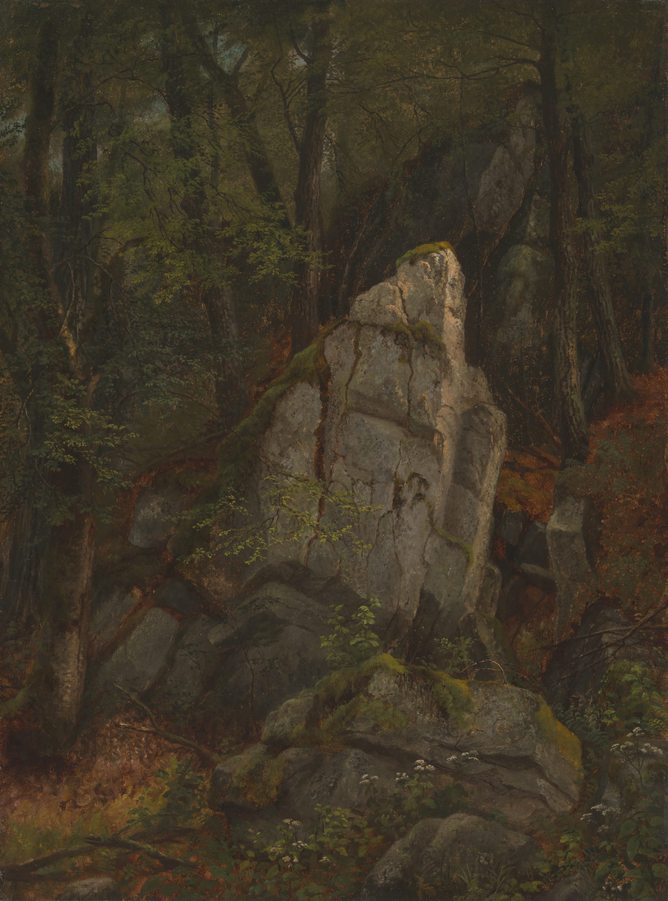 Study of Rocks in Pearson's Ravine by Asher Brown Durand, mid–1850s — fine art print