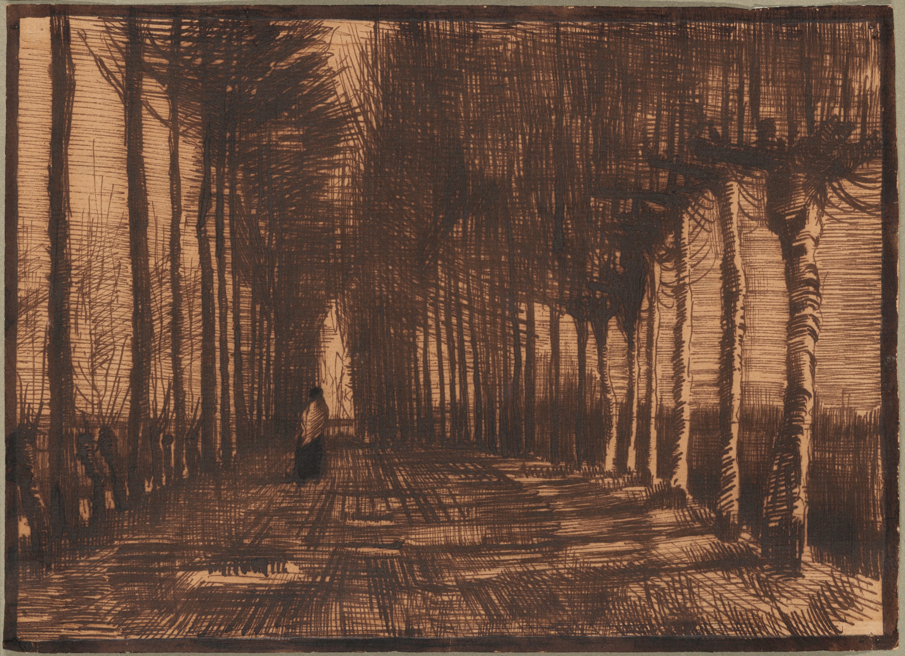 Avenue of Pollard Birches and Poplars by Vincent van Gogh, March 1884 — fine art print