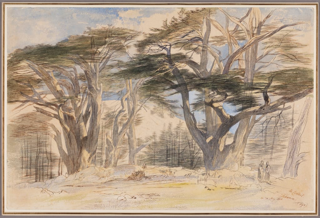 The Cedars of Lebanon by Edward Lear, 1858 — fine art print